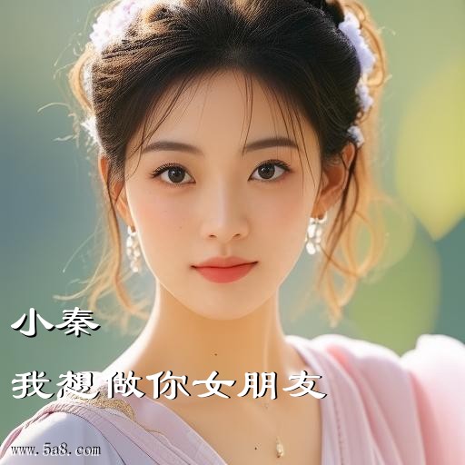 我想做你女朋友小秦搞笑图片
