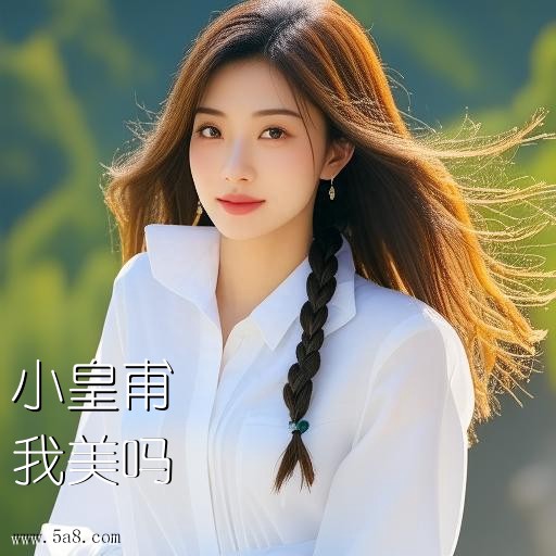 我美吗小皇甫搞笑图片