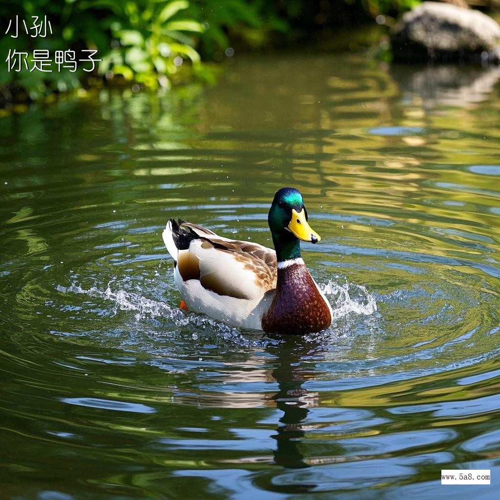 你是鸭子小孙搞笑图片