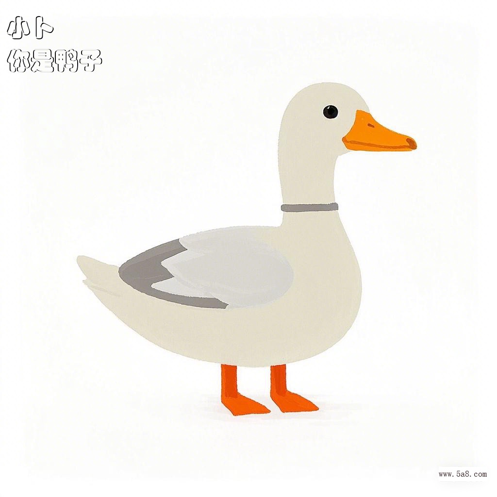 你是鸭子小卜搞笑图片