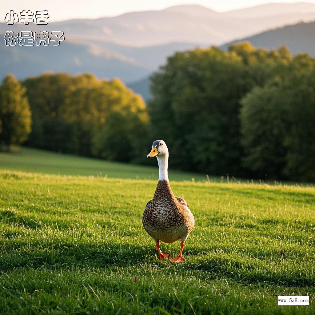 你是鸭子小羊舌搞笑图片