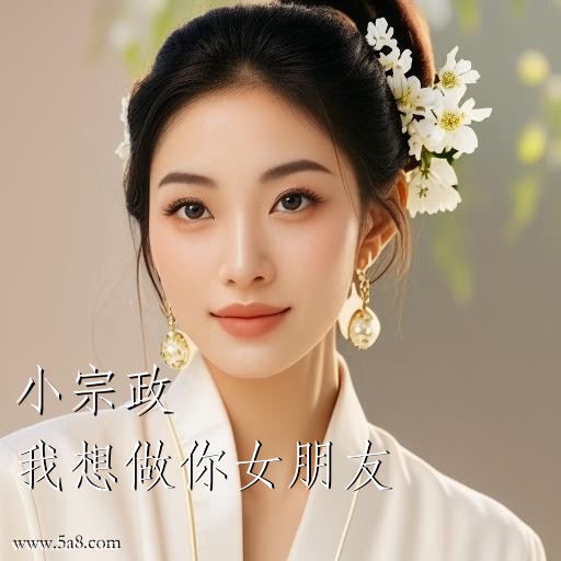 我想做你女朋友小宗政搞笑图片