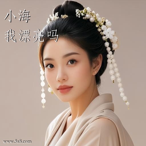我漂亮吗小海搞笑图片