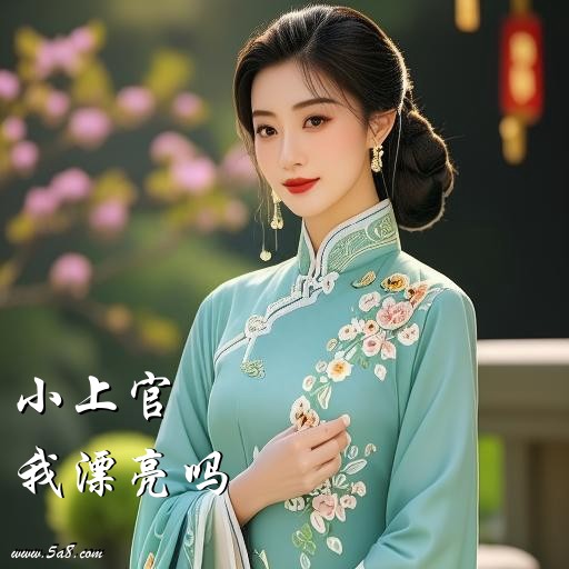 我漂亮吗小上官搞笑图片