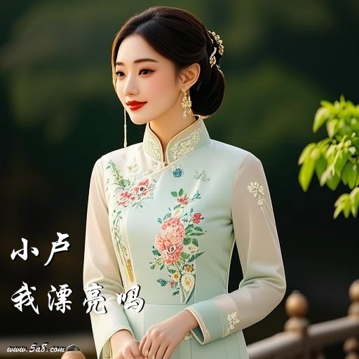 我漂亮吗小卢搞笑图片