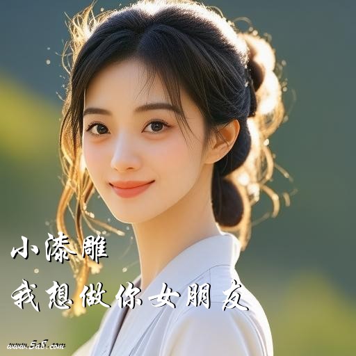 我想做你女朋友小漆雕搞笑图片