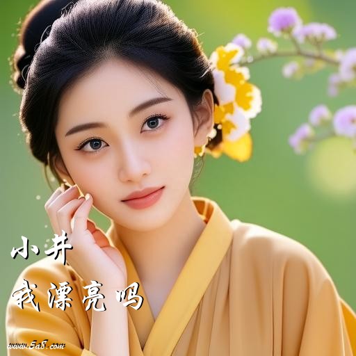 我漂亮吗小井搞笑图片