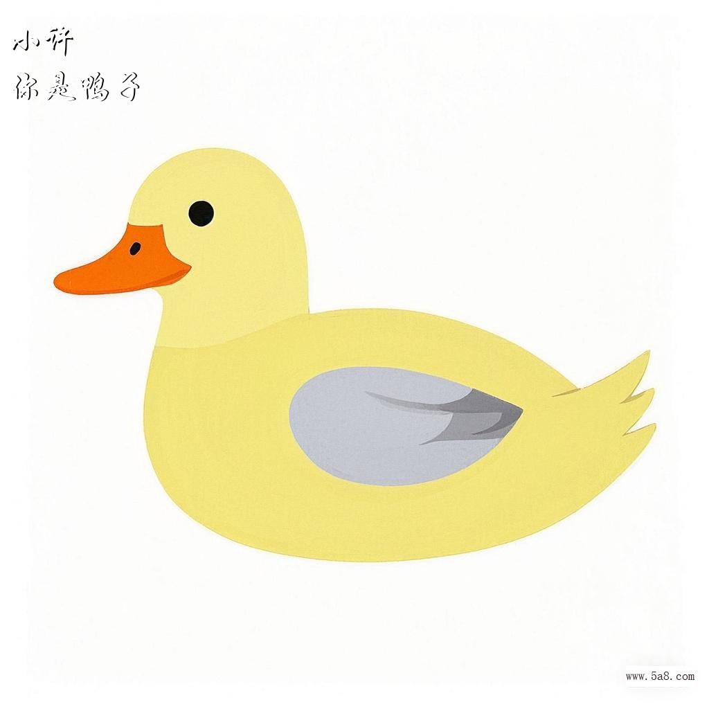 你是鸭子小许搞笑图片
