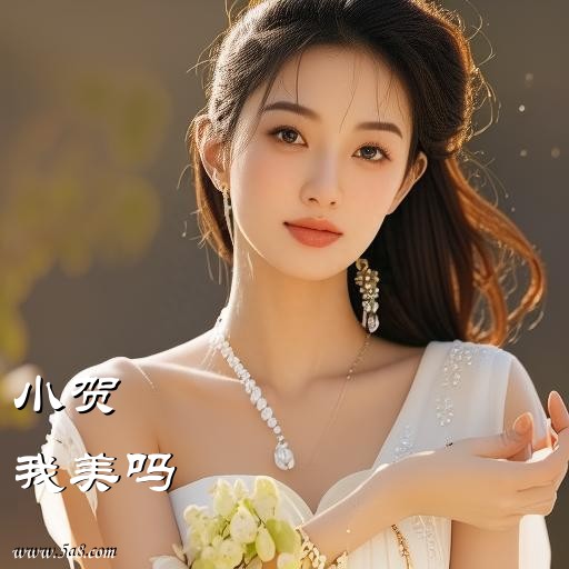 我美吗小贺搞笑图片