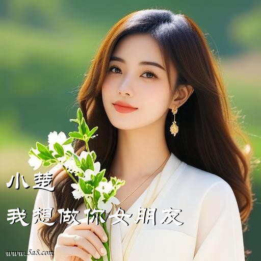 我想做你女朋友小楚搞笑图片