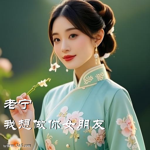 我想做你女朋友老宁搞笑图片