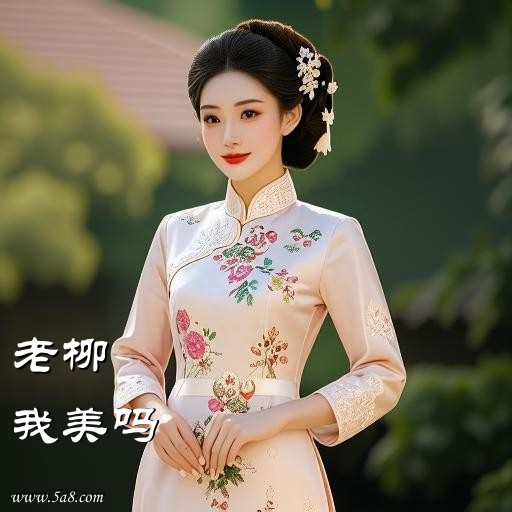 我美吗老柳搞笑图片