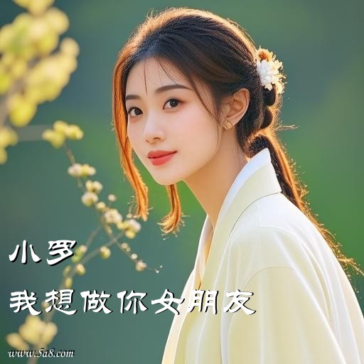 我想做你女朋友小罗搞笑图片