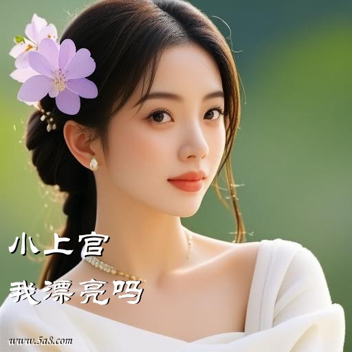 我漂亮吗小上官搞笑图片