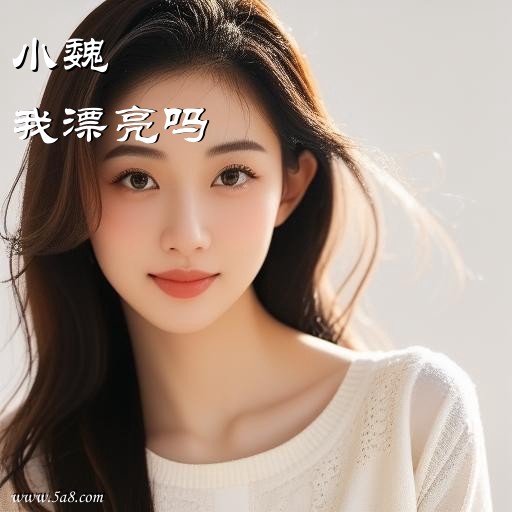 我漂亮吗小魏搞笑图片