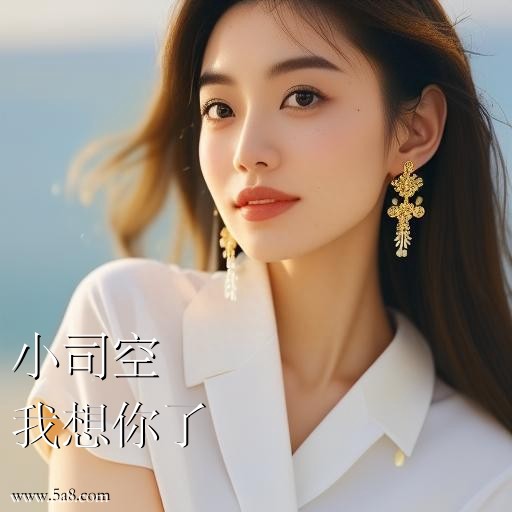 我想你了小司空搞笑图片