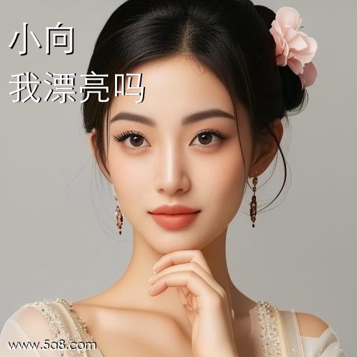 我漂亮吗小向搞笑图片