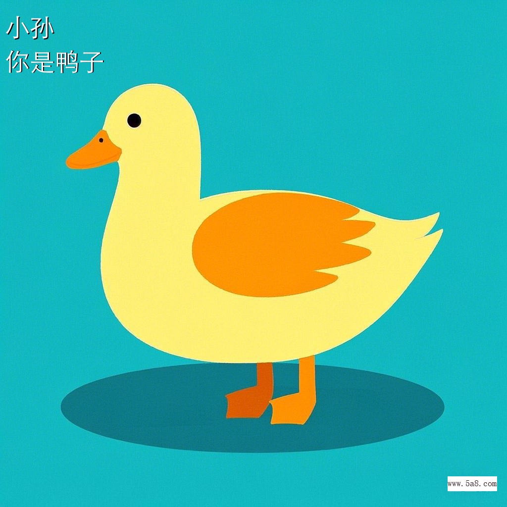 你是鸭子小孙搞笑图片