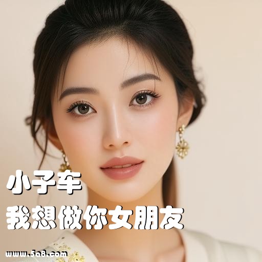 我想做你女朋友小子车搞笑图片