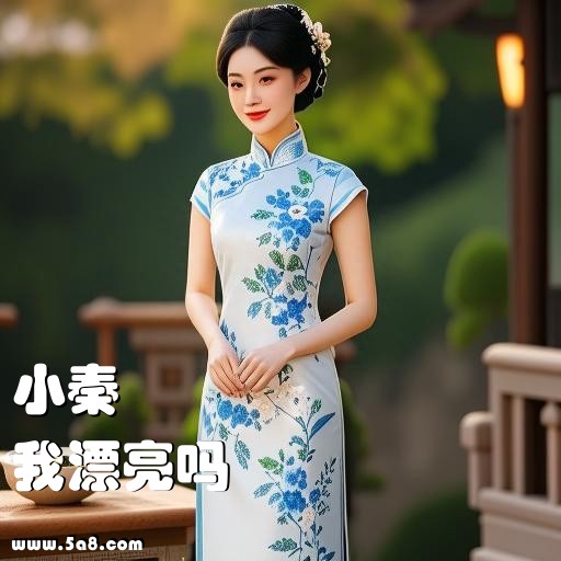 我漂亮吗小秦搞笑图片
