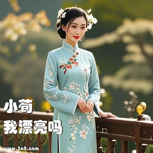 我漂亮吗小荀搞笑图片