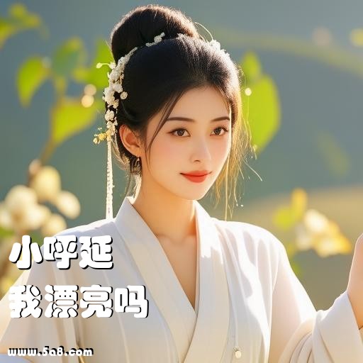 我漂亮吗小呼延搞笑图片