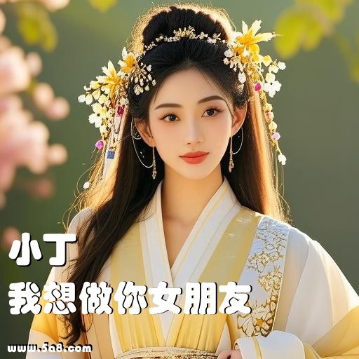 我想做你女朋友小丁搞笑图片