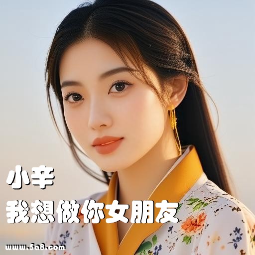 我想做你女朋友小辛搞笑图片