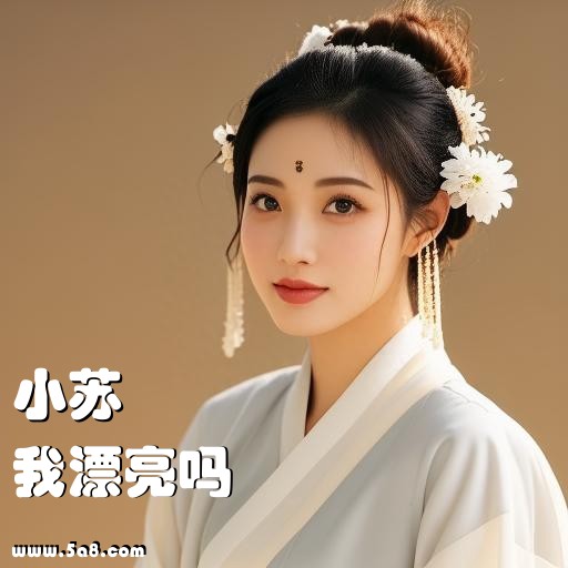 我漂亮吗小苏搞笑图片