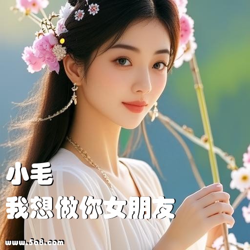 我想做你女朋友小毛搞笑图片