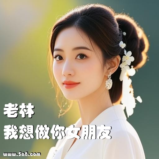 我想做你女朋友老林搞笑图片