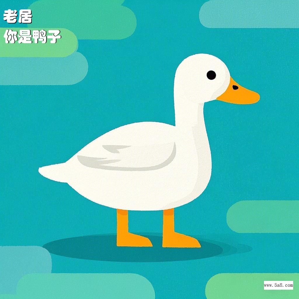 你是鸭子老居搞笑图片