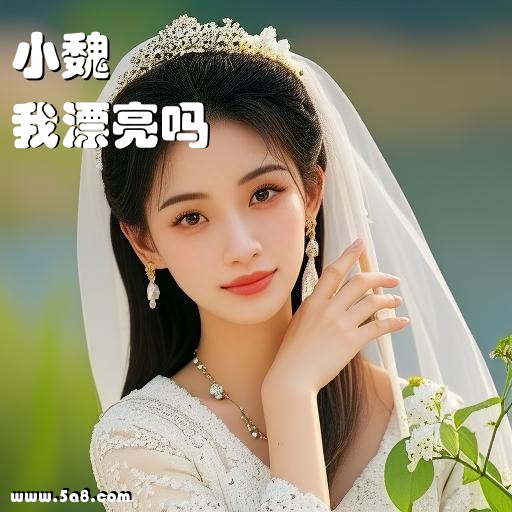 我漂亮吗小魏搞笑图片