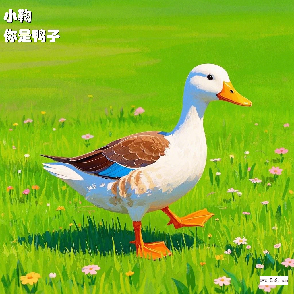 你是鸭子小鞠搞笑图片