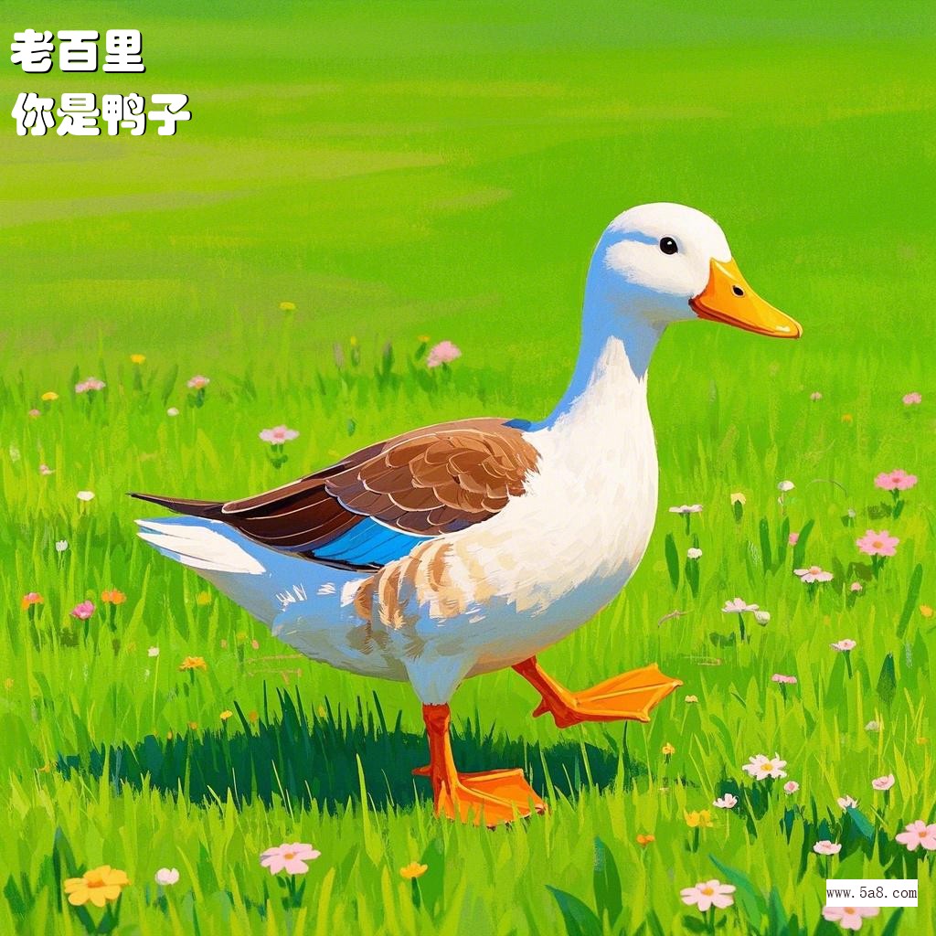 你是鸭子老百里搞笑图片