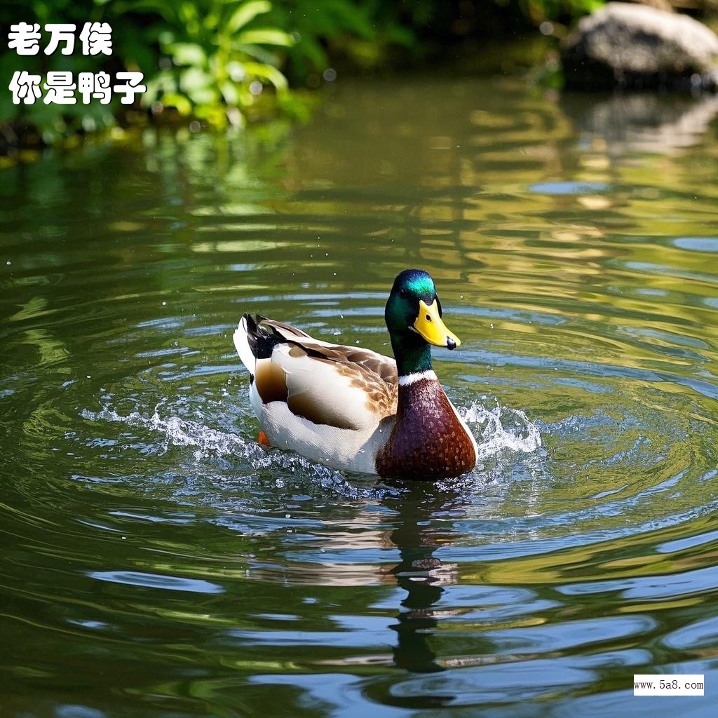 你是鸭子老万俟搞笑图片