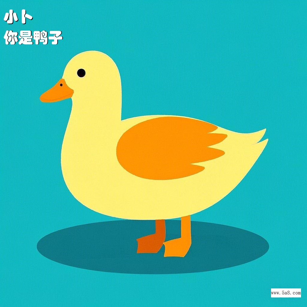 你是鸭子小卜搞笑图片