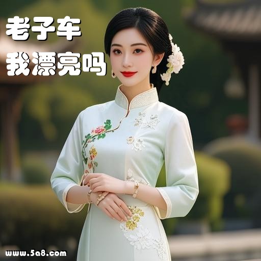 我漂亮吗老子车搞笑图片