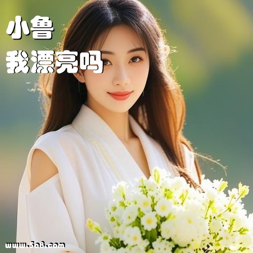 我漂亮吗小鲁搞笑图片