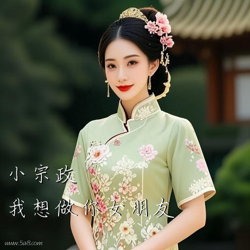 我想做你女朋友小宗政搞笑图片