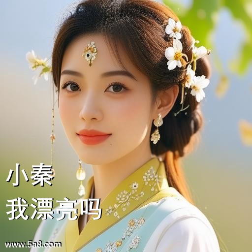 我漂亮吗小秦搞笑图片