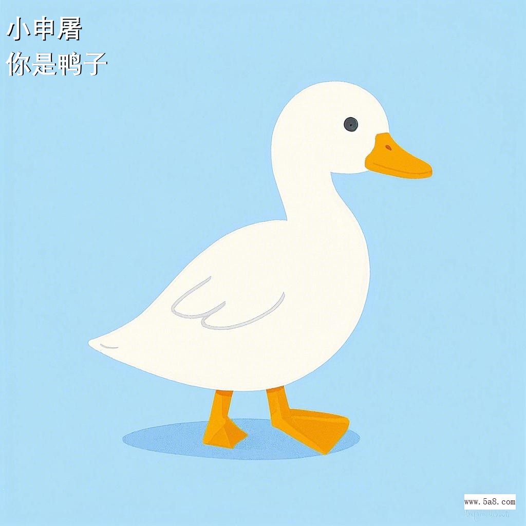 你是鸭子小申屠搞笑图片