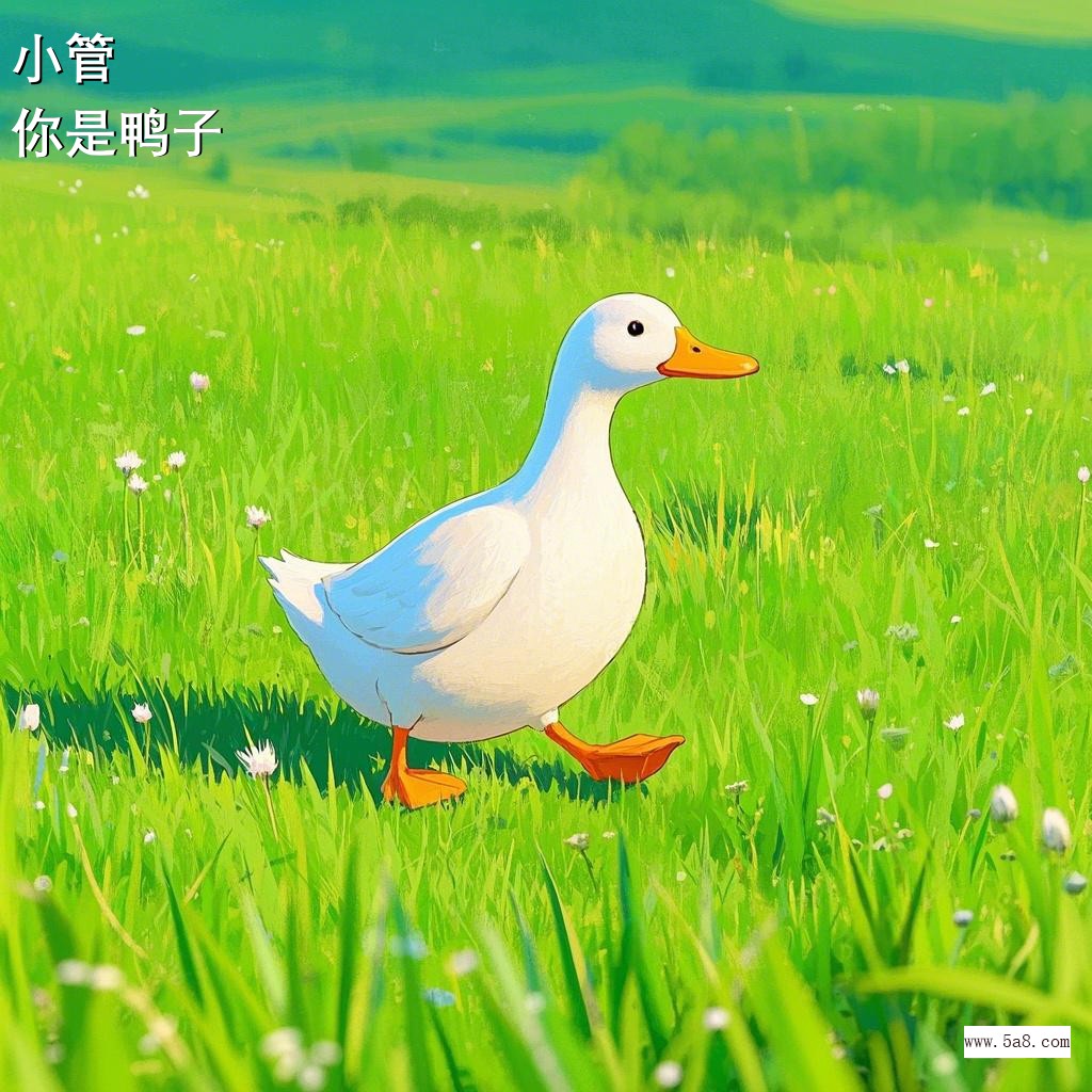 你是鸭子小管搞笑图片