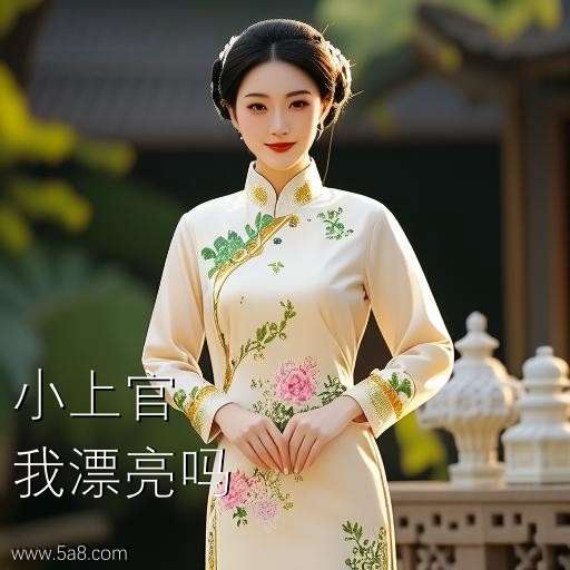 我漂亮吗小上官搞笑图片