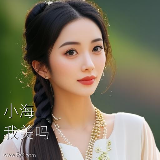 我美吗小海搞笑图片