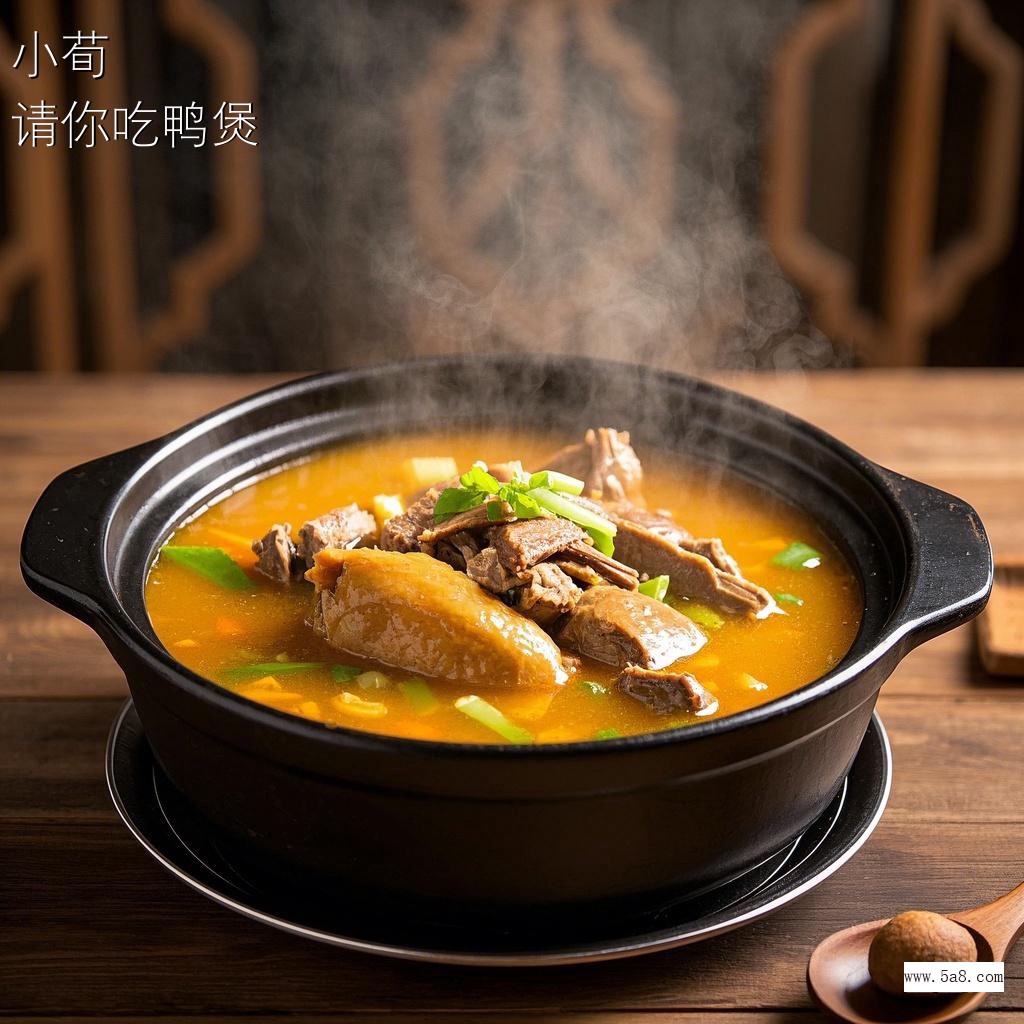 请你吃鸭煲小荀搞笑图片