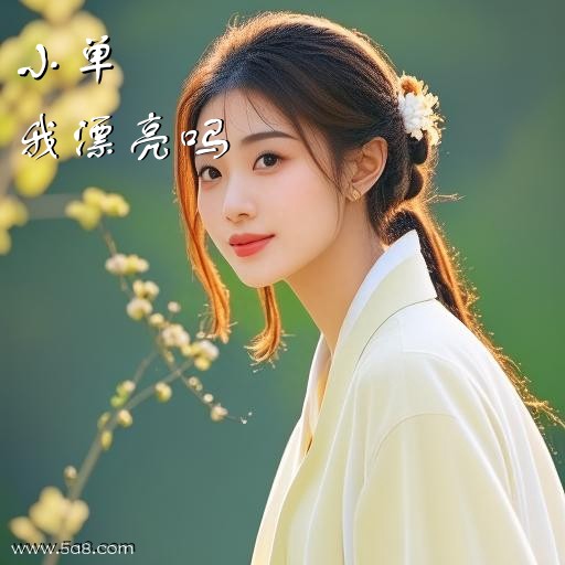 我漂亮吗小单搞笑图片