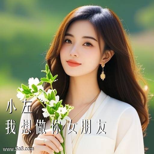 我想做你女朋友小左搞笑图片