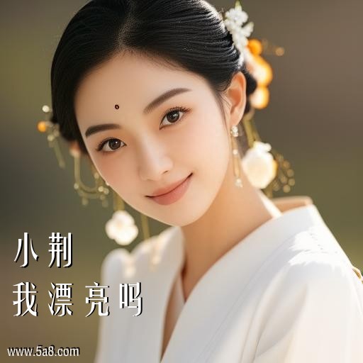 我漂亮吗小荆搞笑图片