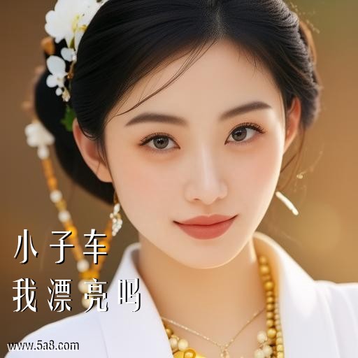 我漂亮吗小子车搞笑图片